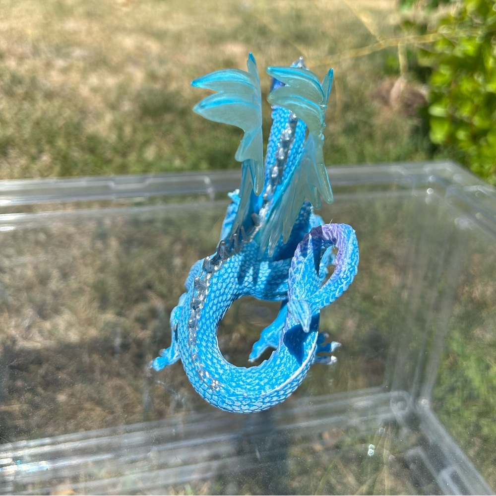 Blue dragon - Picture 5 of 5